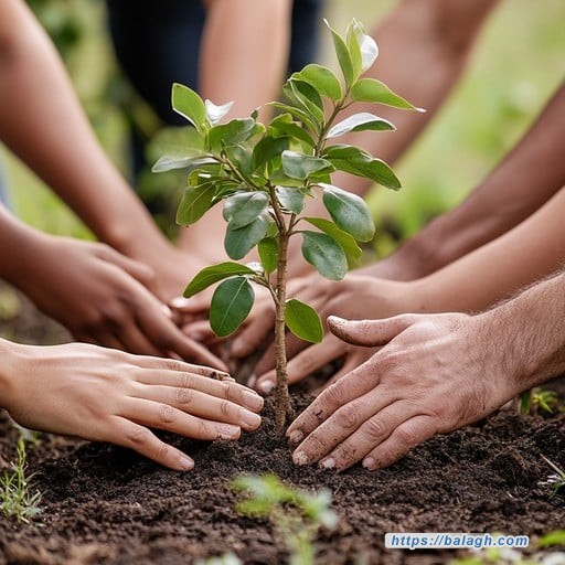 التأثير المتبادل بين علاقة الإنسان مع الطبيعة وأخيه